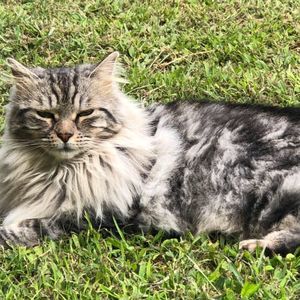 Meet your Posher, Sosa